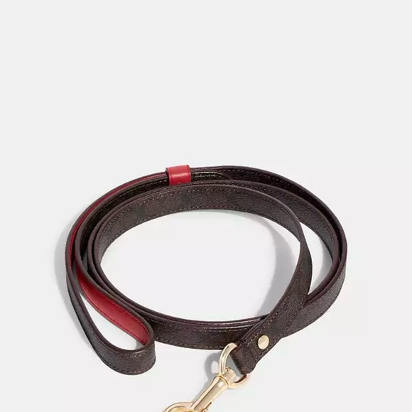 Coach dog leash and collar for small dog set - Picture 5 of 7
